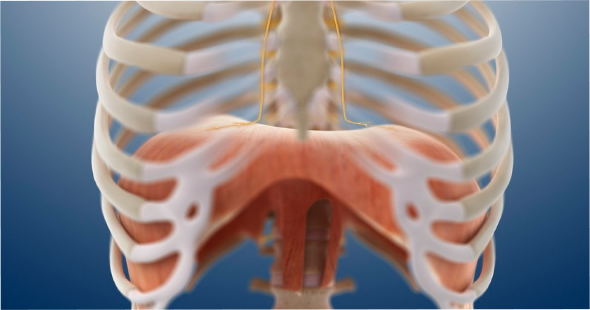 Cantar con el diafragma ¿Es posible?