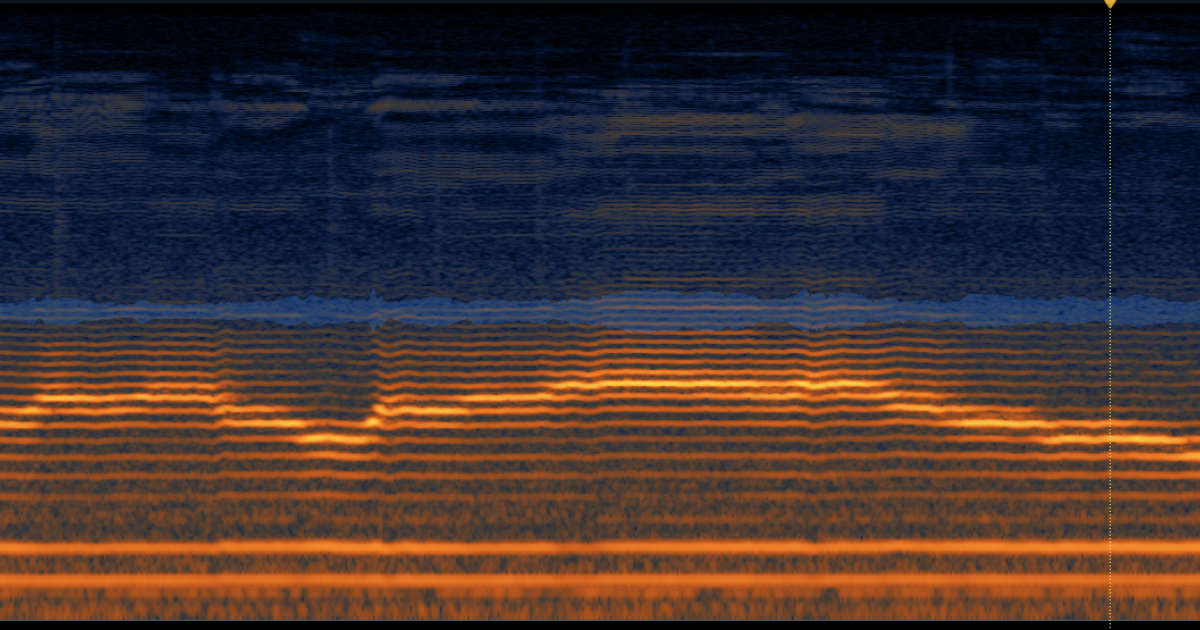 ¿Qué es el twang y cómo desarrollarlo en el canto?